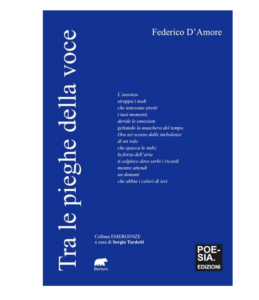 Copertina del libro Tra le pieghe della voce